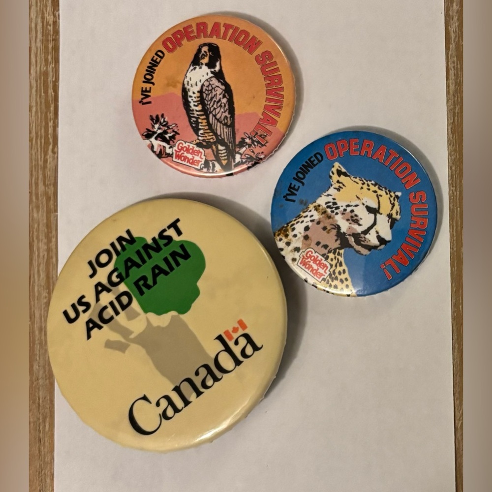 Vintage 1980s environmental buttons